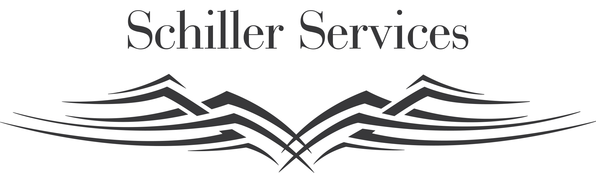 Schiller Services Logo